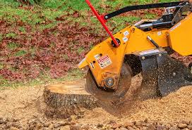 Lawn Maintenance Plans in Denmark, SC
